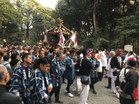 The procession carrying the heavy shrines - Meiji Temple, Tokyo, Japan